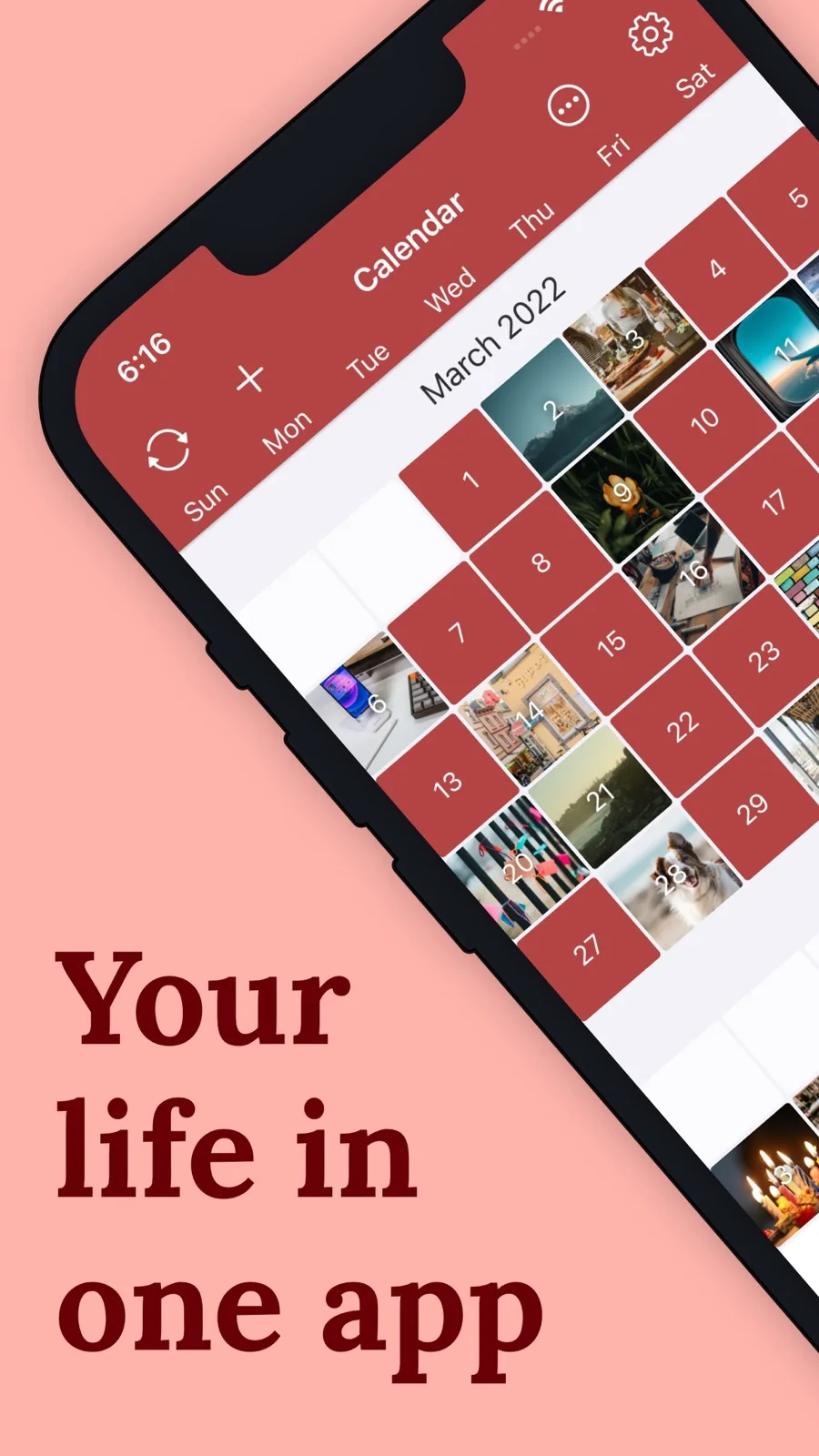 Vista de calendario mensual de Diarium con miniaturas de fotos en cada día que tiene una entrada